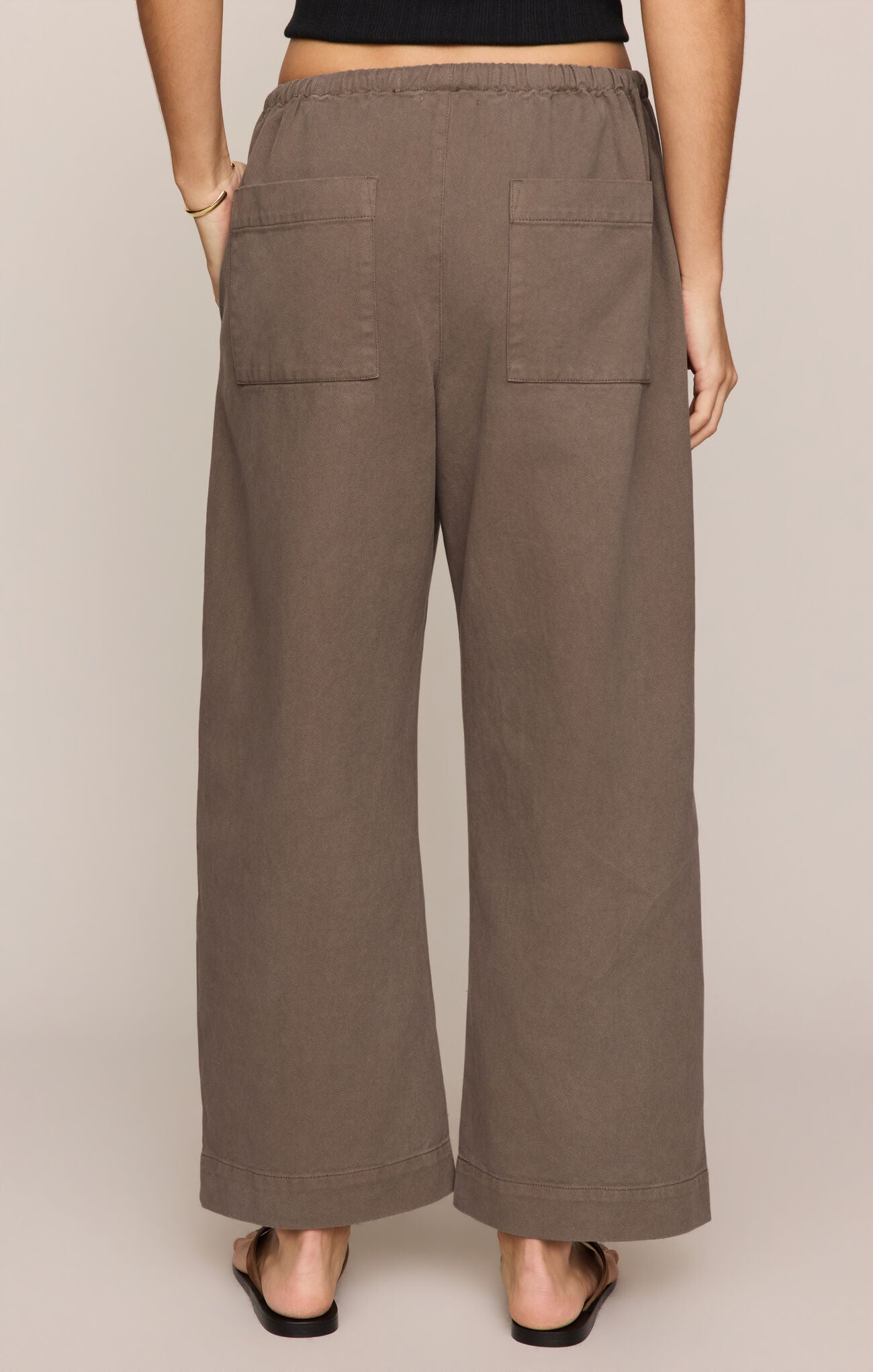 Z Supply Kit Twill Carpenter Pant